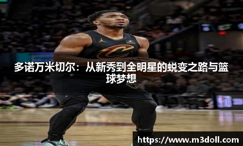 多诺万米切尔：从新秀到全明星的蜕变之路与篮球梦想