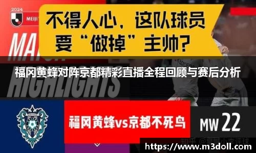 雷火电竞app