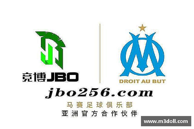 关于必博bibo